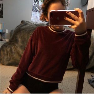 Velvet Kendall and Kylie sweater